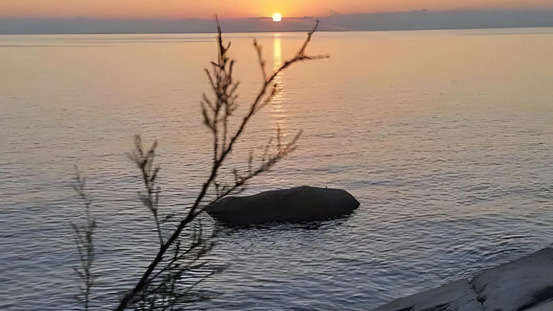 Casa Gaia Direttamente Sul Mare Apartamento Pomonte